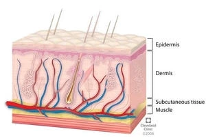 3D肌肉旋风塑形仪