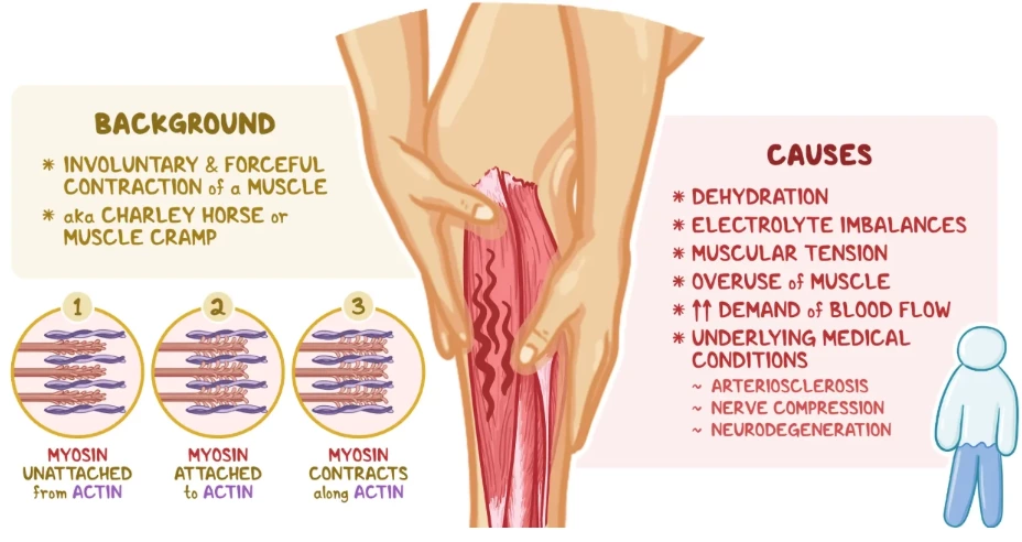 用于肌肉疼痛缓解的3D旋风波系统：多频率微电流治疗如何减轻疼痛和恢复活动能力